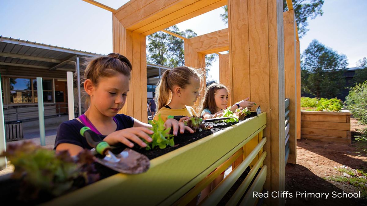 Red Cliffs Primary School - Inclusive Schools Fund, completed outdoor sensory play space