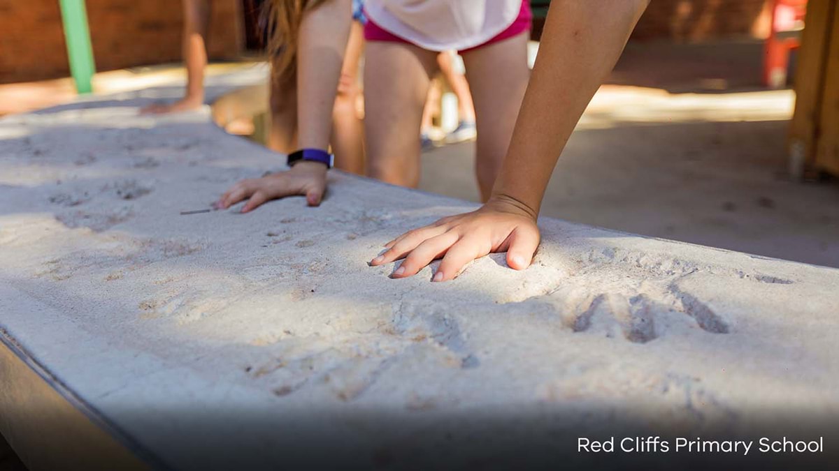 Red Cliffs Primary School - Inclusive Schools Fund, completed outdoor sensory play space