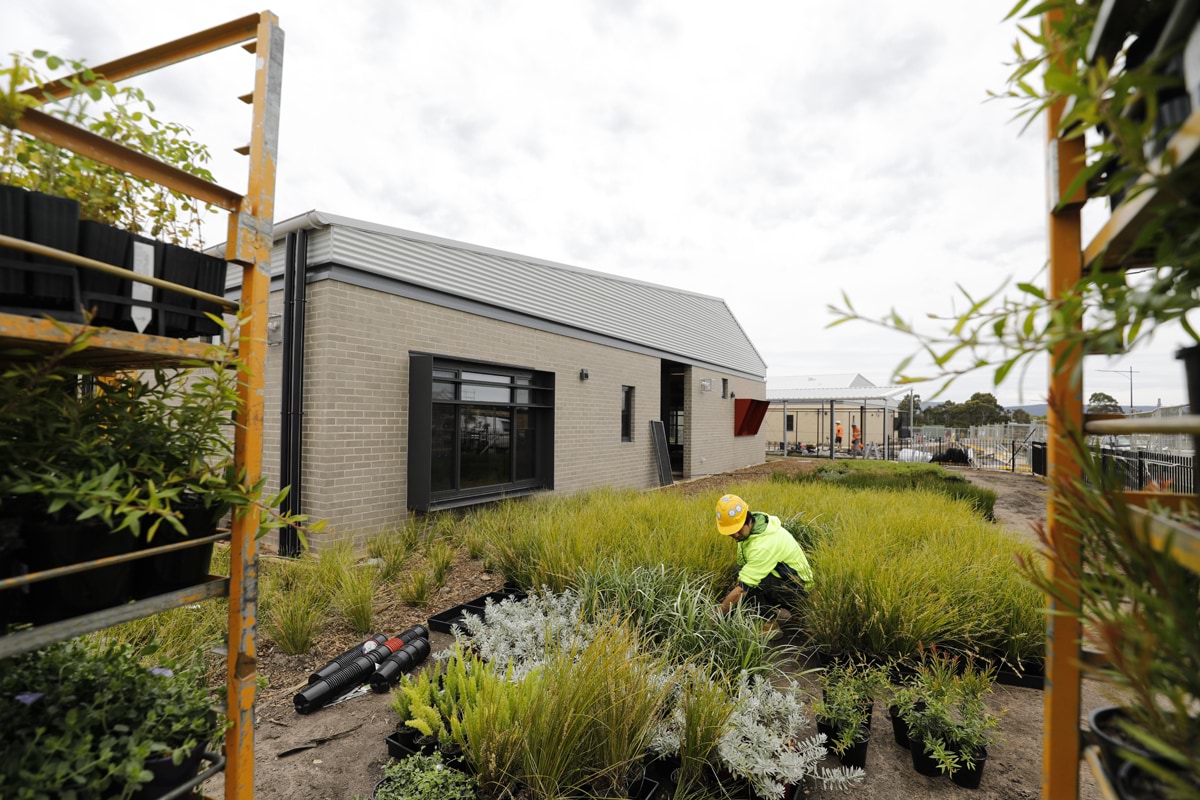 Willowbank Primary School - new school, November 2021 construction progress