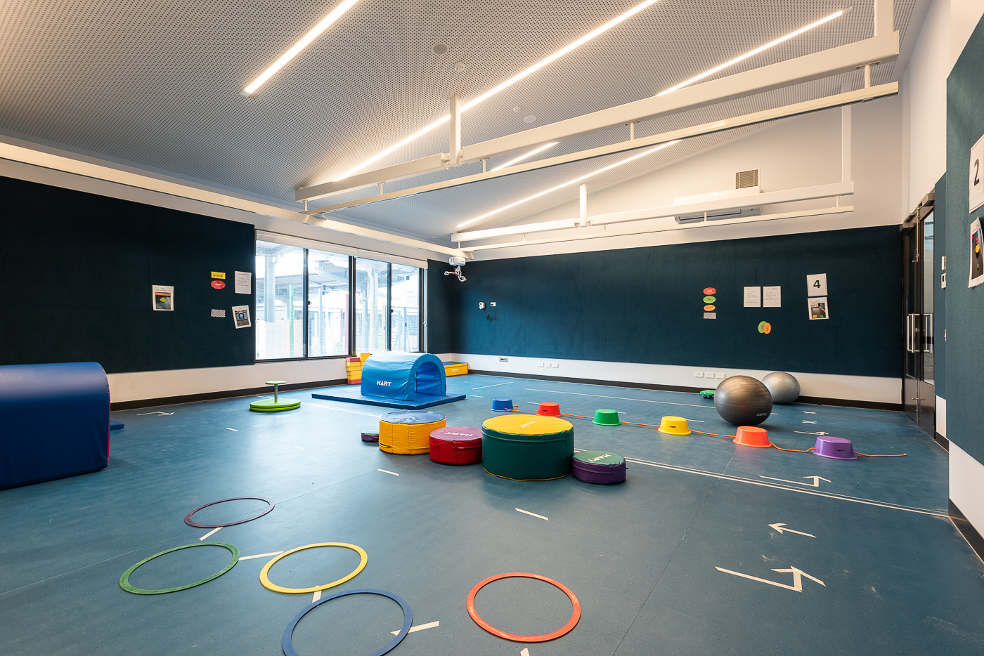 Endeavour Hills Specialist School - new school, photograph of indoor gymnasium