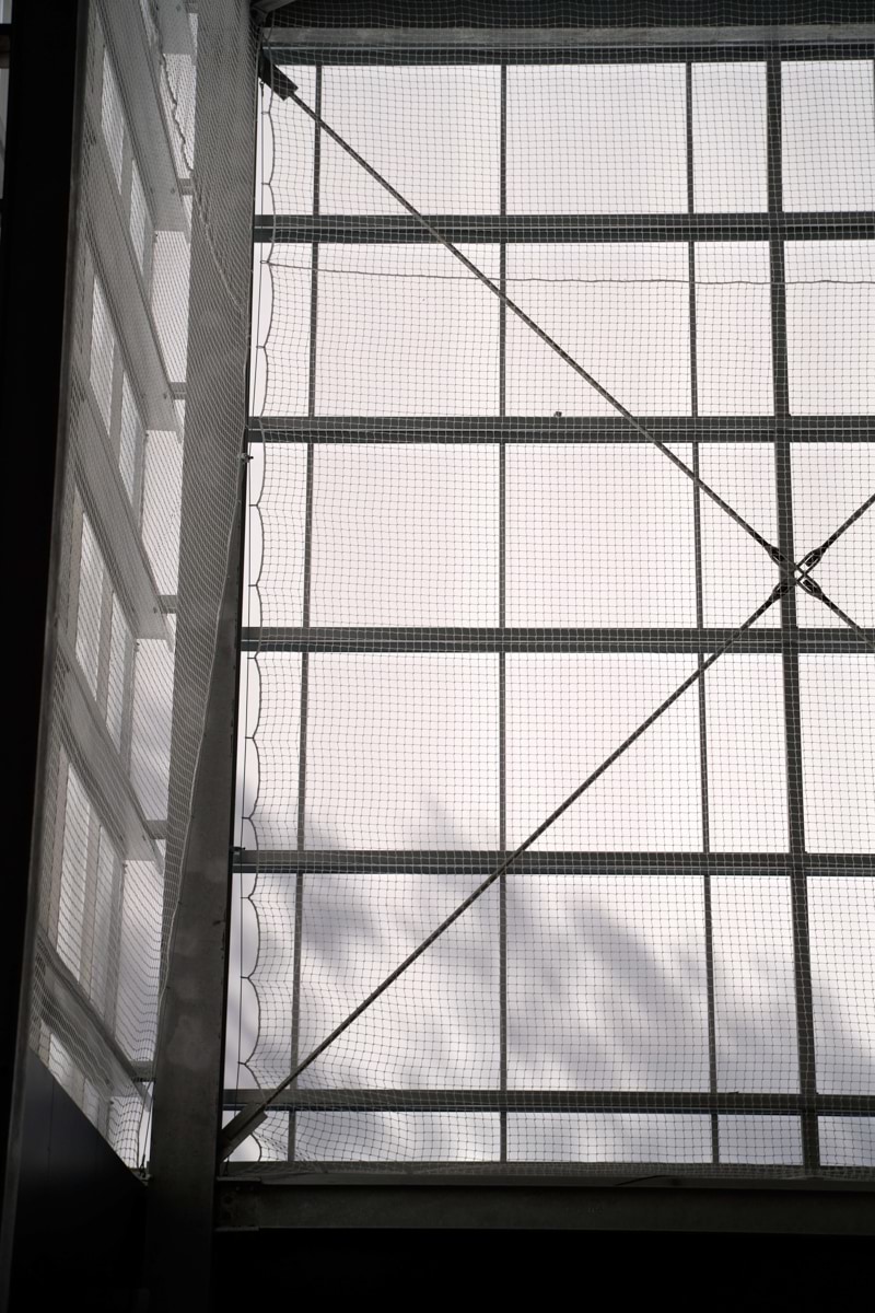 Photo of net across the gymnasium window