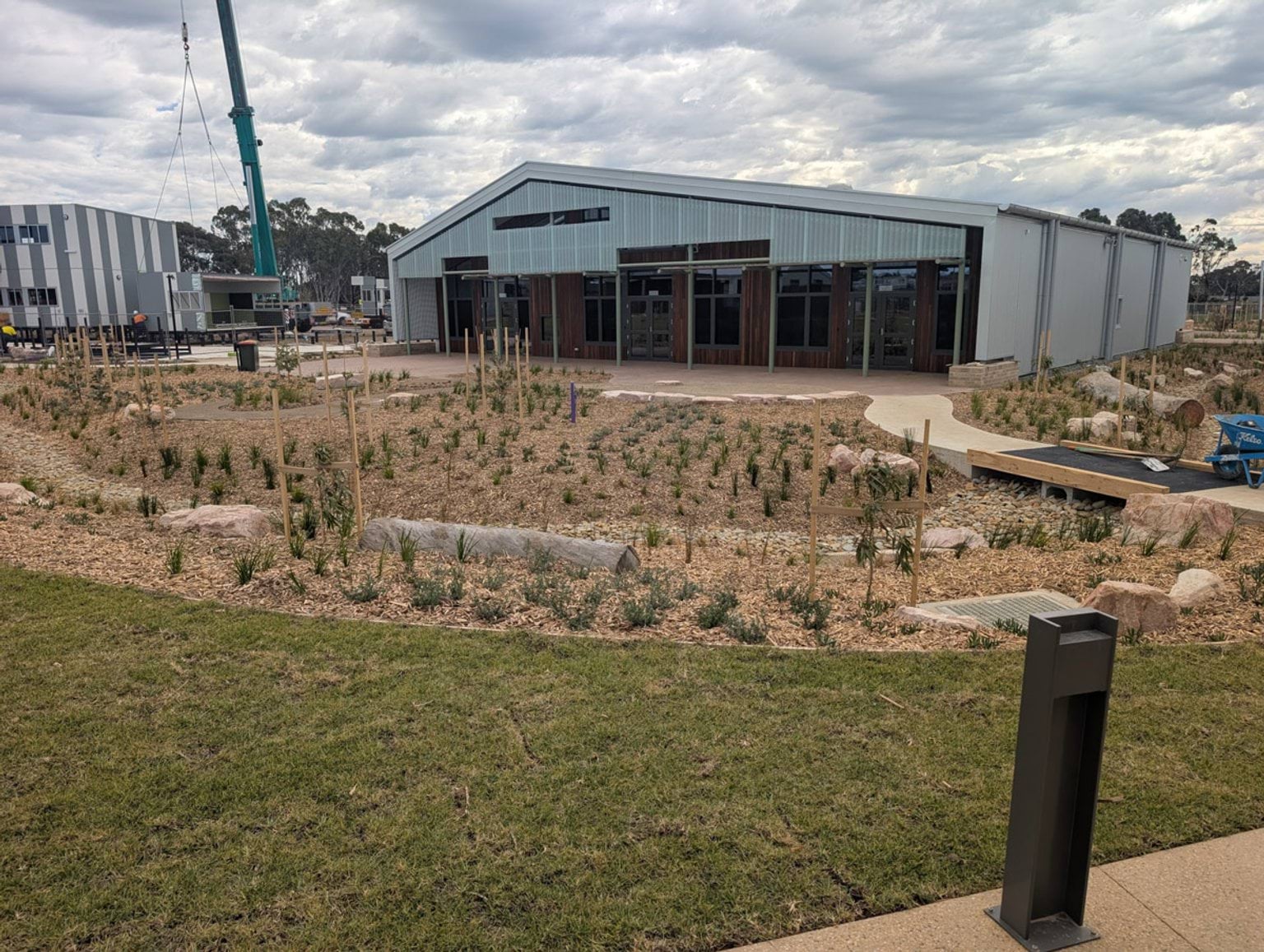 Landscaping out the front of the school with new shrubs surrounded by tanbark and grass