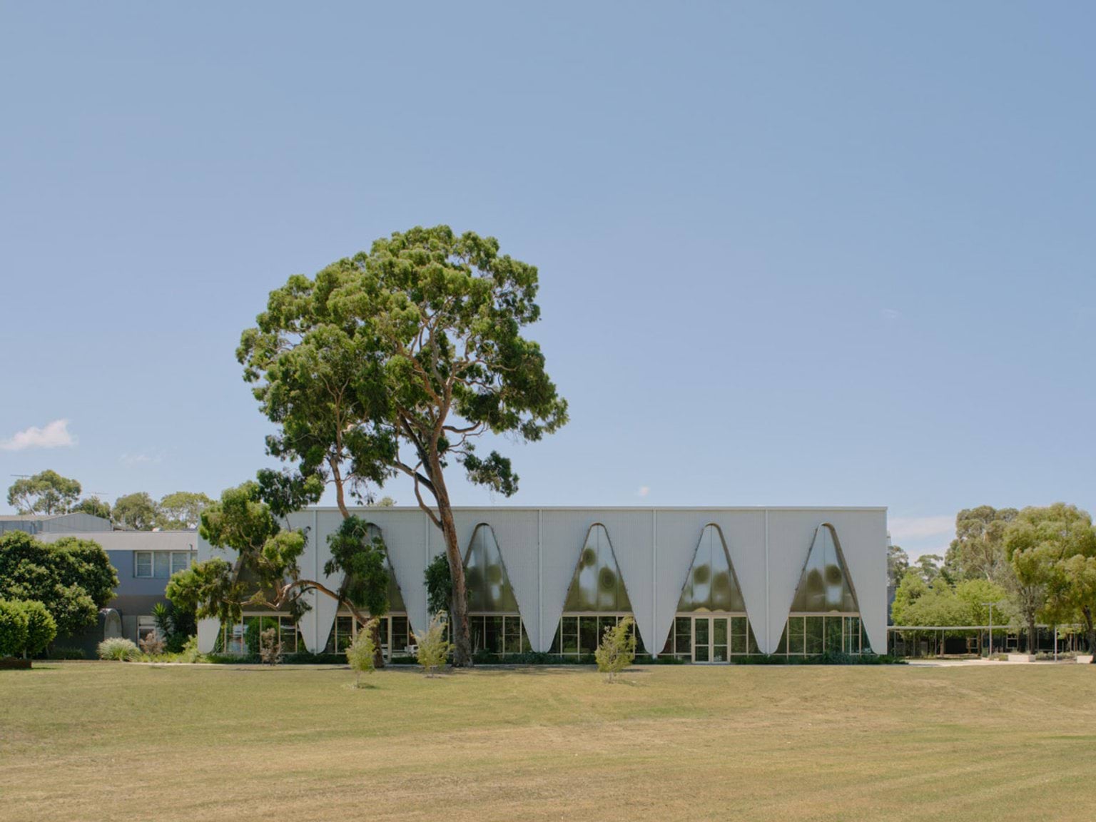 The exterior of a modern school building with a white facade featuring large triangular panels and full-height glass windows. A tall tree stands in front of the building on a wide grassed area.