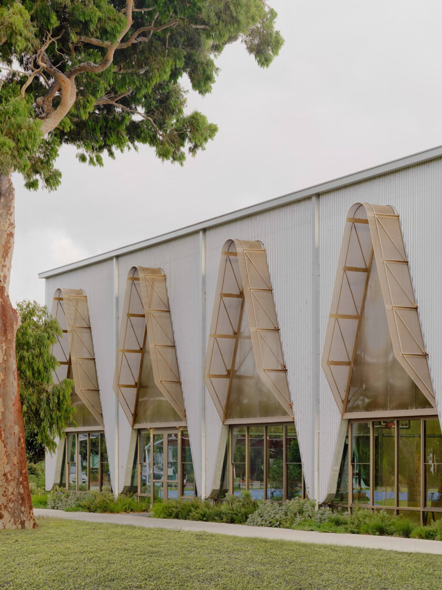 Close-up of a school building’s white facade with distinctive triangular panels over glass windows. A large tree partially shades the view.