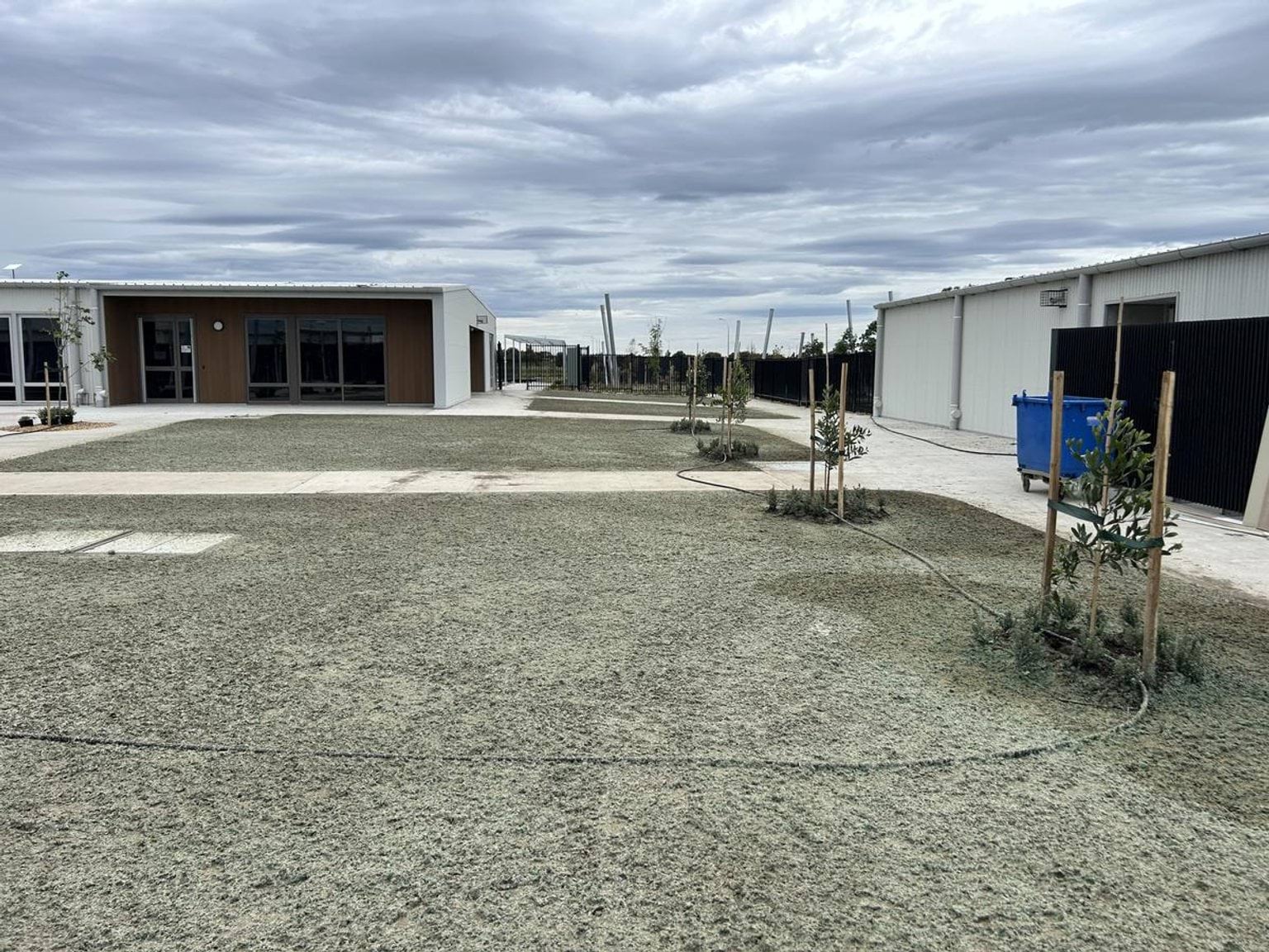 An open outdoor space with fresh turf, young trees, and concrete paths leading to white and timber school buildings.