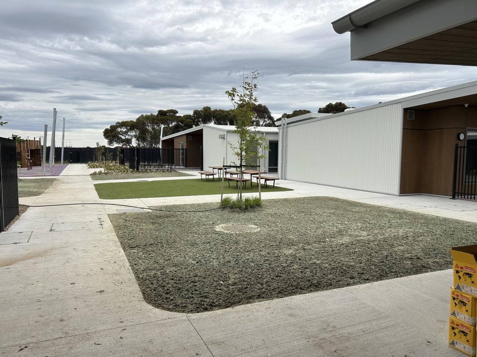 A courtyard with new grass, young trees, and concrete paths between modern school buildings with white and timber cladding.