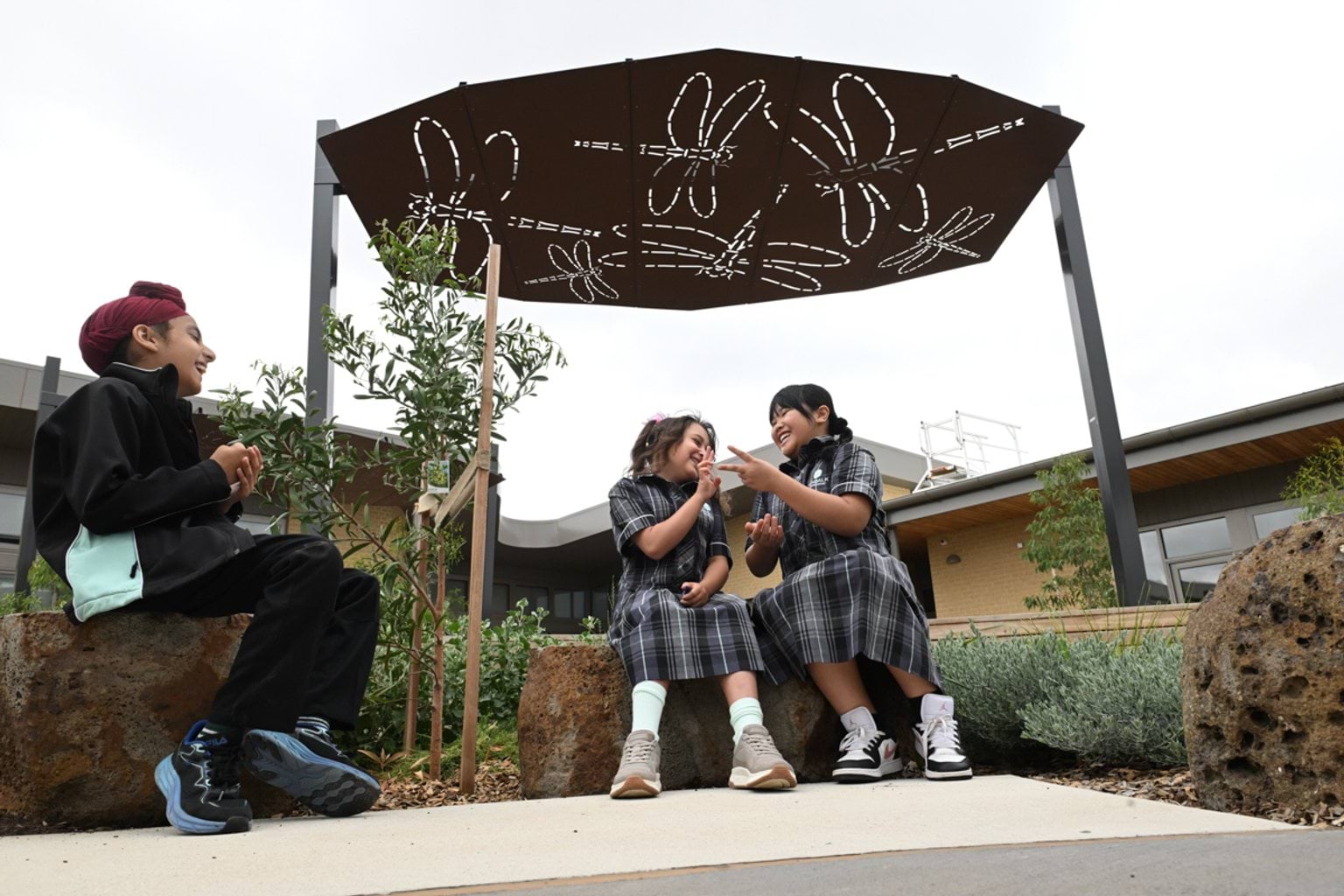 A view of the new shade cloth