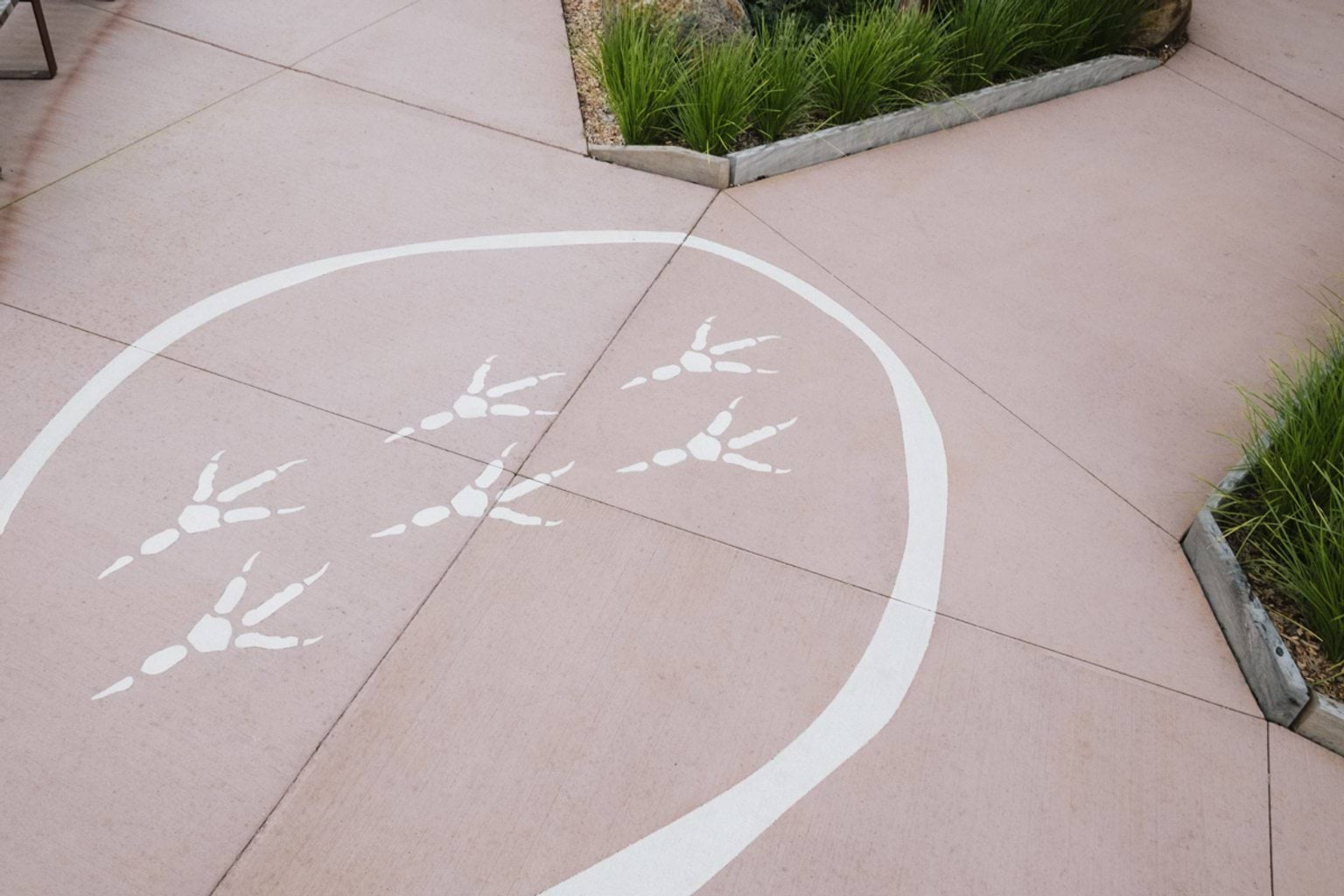 Paved area with Indigenous artwork of animal tracks