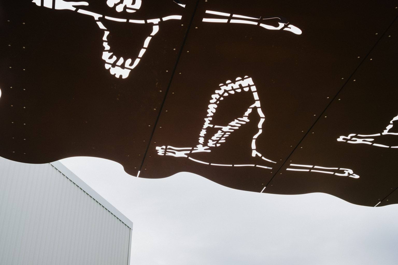 Indigenous birds artwork engraved on metal shelter