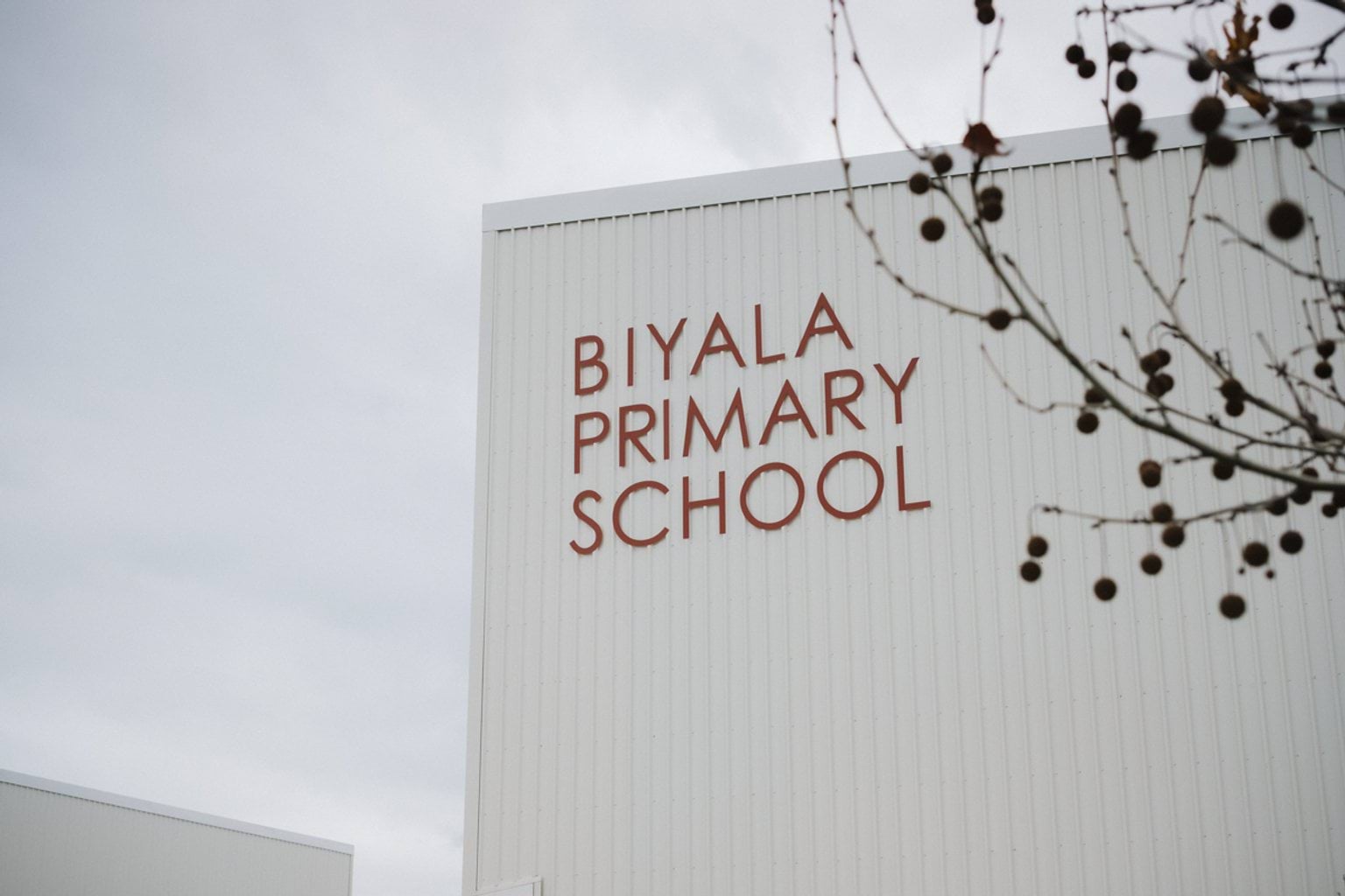 Side of white metal school building wall with 'BIYALA PRIMARY SCHOOL' lettering. We can see tree branches in the foreground out of focus