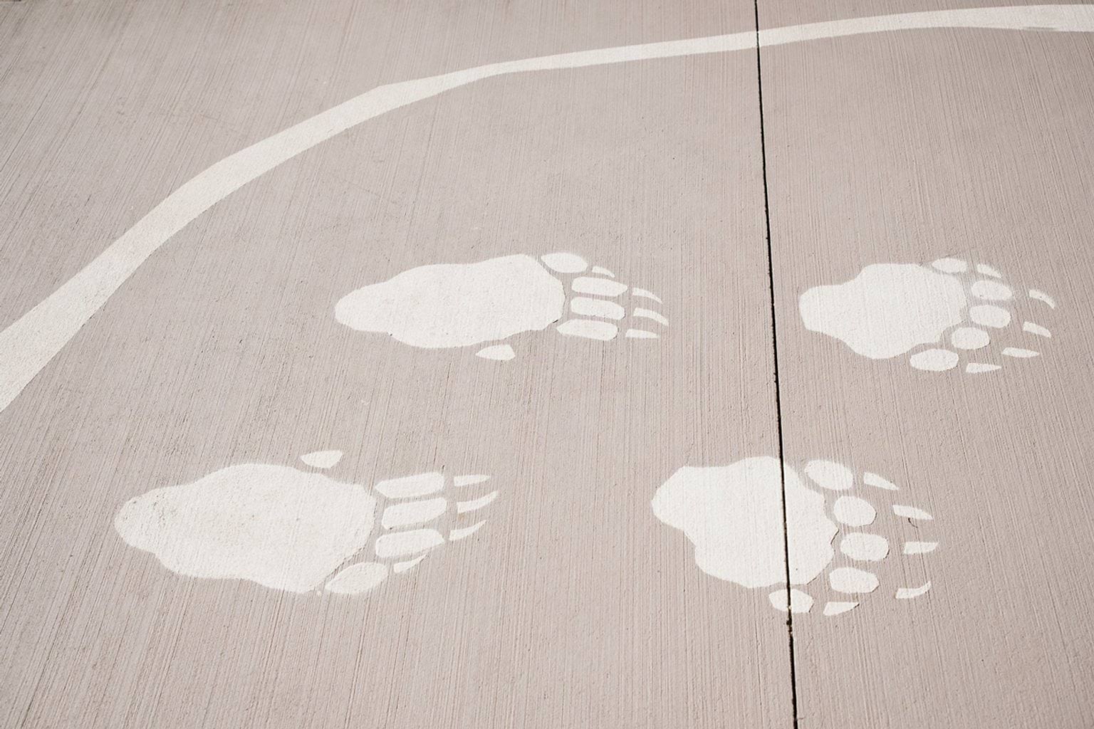 Paved area with artwork of animal tracks